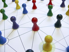 开云ios下载-中国篮球教练员战术执行力提升路径分析，中国篮球教练员等级划分标准